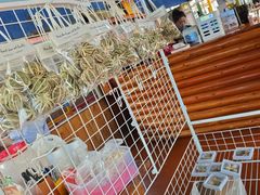 -蓝湾碧波·老字号·疍家非遗海上餐厅