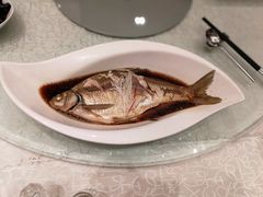 清蒸武昌鱼-亢龙太子酒轩(东湖店)