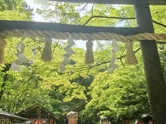 -野宫神社