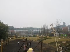 -铁山坪森林公园