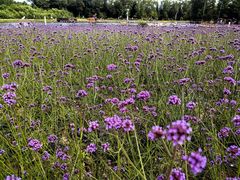 -长白山万达锦华套房酒店