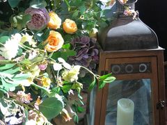 -IFIF 如果花園(宽厚里店)