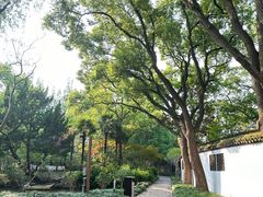-上海醉白池公园