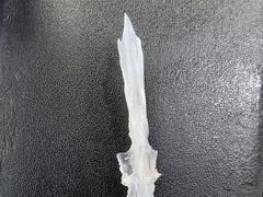 -扒骨肉雅鱼饭店(三雅文化传承店)