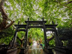 -杭州黄龙洞