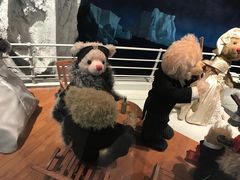 -济州岛泰迪熊博物馆