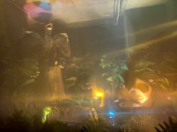 -恐龙探索乐园(磁器口店)