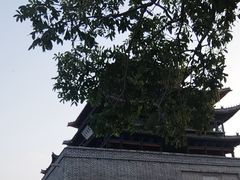 -光岳楼
