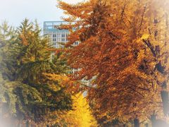 -辽宁大学(崇山校区)