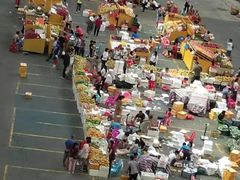 -三亚新鸿港水果一级批发市场