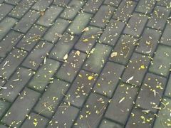 android_upload_pic-惠州西湖