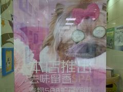 -北京观赏动物医院·24小时大型综合·猫专科·异宠专科