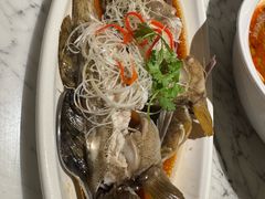 -青雅中餐厅(大连金石滩绿发希尔顿度假酒店)