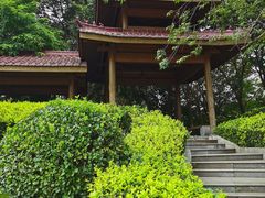 -塘沽森林公园
