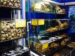 -蚝专家(北滘店)