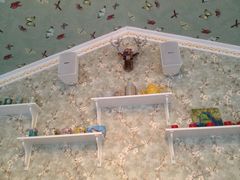 大堂-蝶舍·MAISON PAPILLON