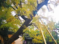 -无锡惠山寺