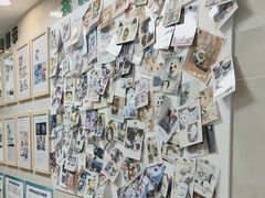 -半岛宠物医院24小时·内窥镜·牙科·碎石中心(府城大道店)