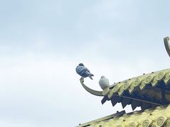 -广州莲花山旅游区