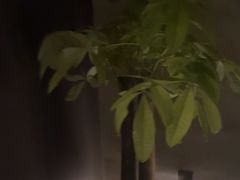 -泰之源足浴会所(玉环店)