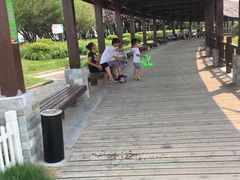 -碧海金沙