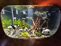 -太平洋海底世界