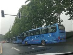 -狮麟驾校