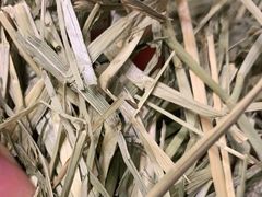 -龙猫仔乐园(惠福东路店)