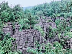 -梭布垭石林景区