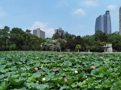 -黄兴公园
