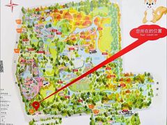 -上海共青森林公园