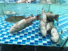 -家乐福(古北店)
