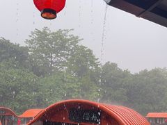 -侨美·唐荔园·40年地道粤菜