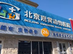 -北京观赏动物医院·24小时大型综合·猫专科·异宠专科
