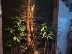 -观宴·品质赣菜(高新大道店)