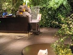 -外婆家(杭州马塍店·杭帮菜名店)