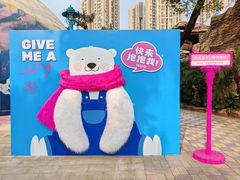 -海合安成都极地海洋公园