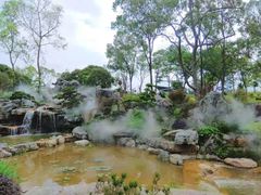 -东莞植物园