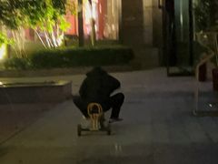 -龙城咖啡厅(常州富都洲际店)