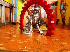 -信不信由你博物馆