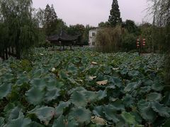 -丝绸小镇荻港古村