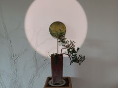 -南山植物园