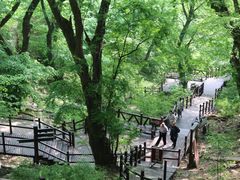 -皇藏峪国家森林公园