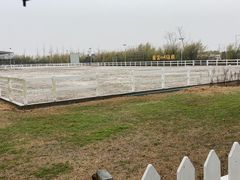 -上海崇明金茂凯悦酒店