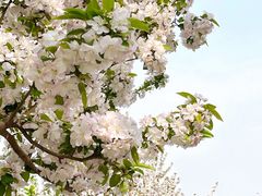 -元大都城垣遗址公园