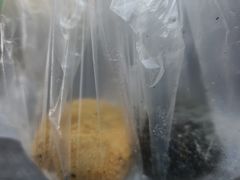 -运栋天马牛肉饼(林科大店)