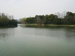 -新江湾城公园