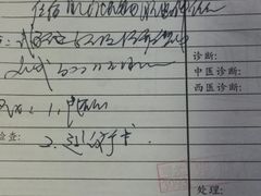 -上海中医药大学附属曙光医院(东部)