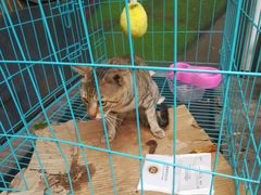 -JUKEBOX玖部音乐餐厅(华侨城店)