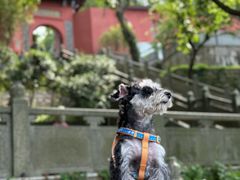 -南北湖风景区